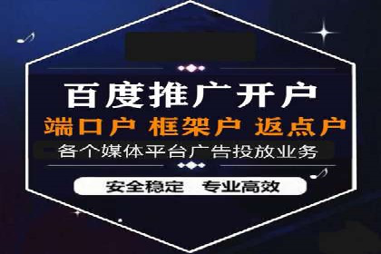 短视频平台的SEM推广实践与效果